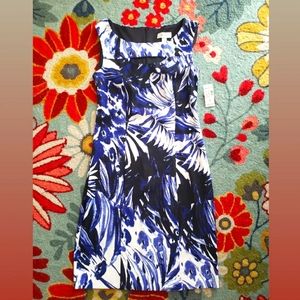 NWT Dress Barn Size 6